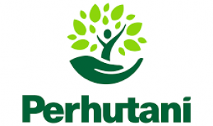 logo perhutani
